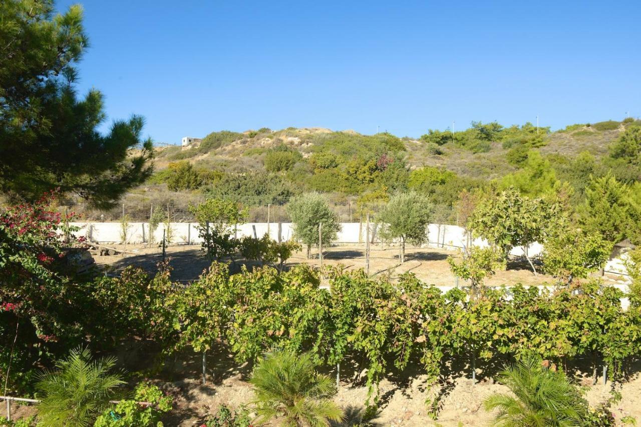 Blue Harmony Villas Kiotari Dış mekan fotoğraf